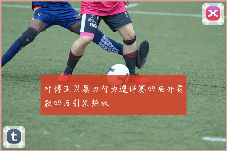 叶博亚因暴力行为遭停赛四场并罚款四万引发热议